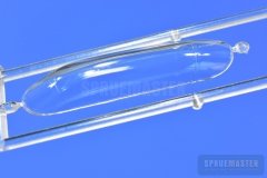 TT-1-Pinto-SPR_0664