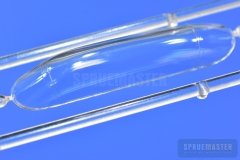TT-1-Pinto-SPR_0666