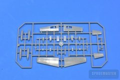 TT-1-Pinto-SPR_0667
