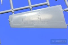 TT-1-Pinto-SPR_0669