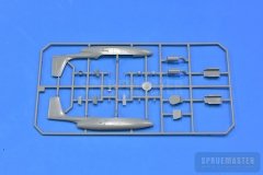 TT-1-Pinto-SPR_0677