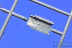 TT-1-Pinto-SPR_0678