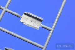 TT-1-Pinto-SPR_0679