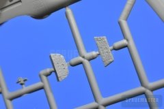 TT-1-Pinto-SPR_0680