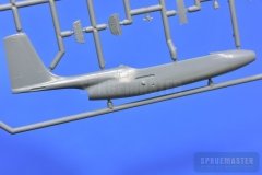 TT-1-Pinto-SPR_0681