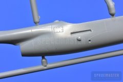 TT-1-Pinto-SPR_0682