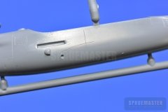 TT-1-Pinto-SPR_0683