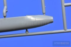 TT-1-Pinto-SPR_0684