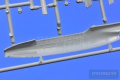 TT-1-Pinto-SPR_0687