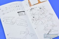 TT-1-Pinto-SPR_0688