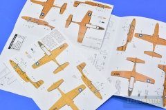 TT-1-Pinto-SPR_0689