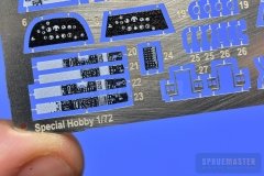 TT-1-Pinto-SPR_0694