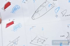 TT-1-Pinto-SPR_0698