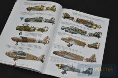 VALIANT-North-Africa-06