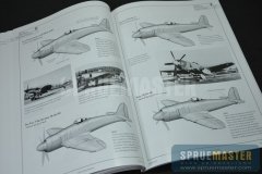 sea-fury-005