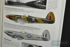 Spitfire-Griffon_11