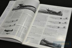 Spitfire-Griffon_4