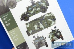 Xact Tiger  015.jpg