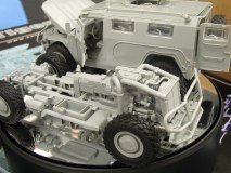 tiger_13A.jpg