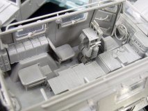tiger_14A.jpg