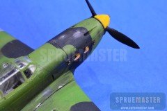 YAK-1-118